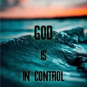 T-shirt for sell all size